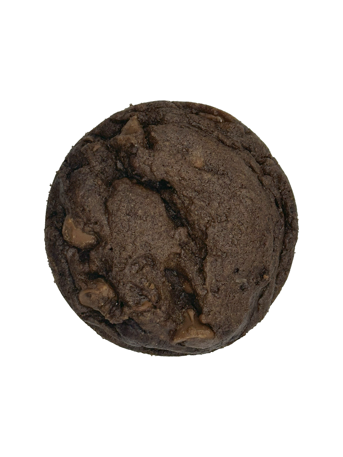 Double Chocolate Cookie